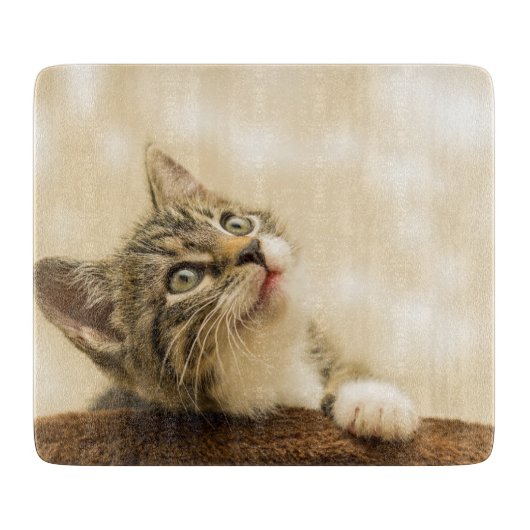 前足を伸ばした可愛い子猫 カッティングボード (正面)