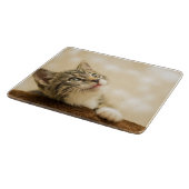 前足を伸ばした可愛い子猫 カッティングボード (角)