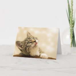 前足を伸ばした可愛い子猫 カード