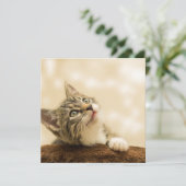 前足を伸ばした可愛い子猫 カード (スタンド正面)