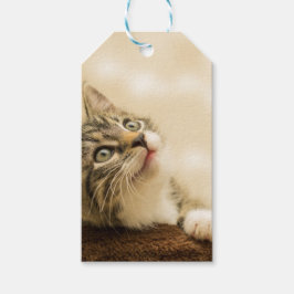 前足を伸ばした可愛い子猫 ギフトタグ