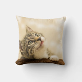 前足を伸ばした可愛い子猫 クッション