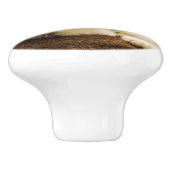 前足を伸ばした可愛い子猫 セラミックノブ (側面)