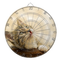 前足を伸ばした可愛い子猫