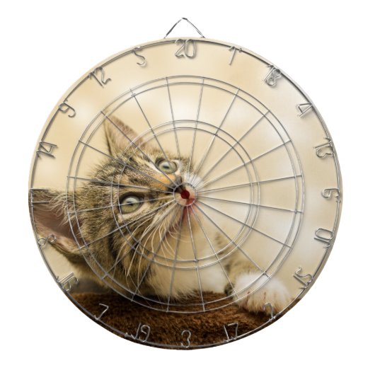 前足を伸ばした可愛い子猫 ダーツボード (正面)