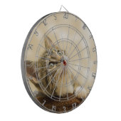 前足を伸ばした可愛い子猫 ダーツボード (正面左)