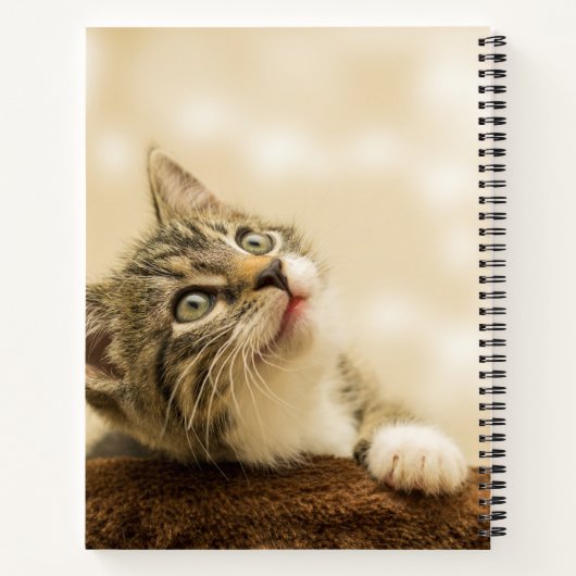 前足を伸ばした可愛い子猫 ノートブック (裏面)