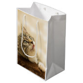 前足を伸ばした可愛い子猫 ミディアムペーパーバッグ (正面アングル)