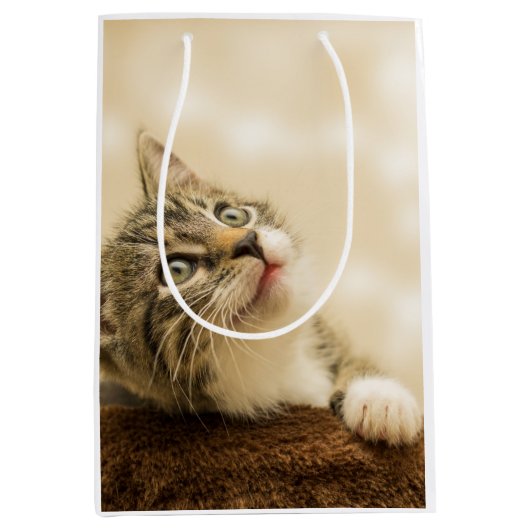 前足を伸ばした可愛い子猫 ミディアムペーパーバッグ (正面)