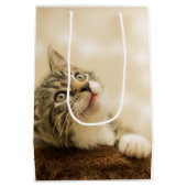 前足を伸ばした可愛い子猫 ミディアムペーパーバッグ (裏面)