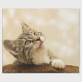 前足を伸ばした可愛い子猫 ラッピングペーパー (フラット)