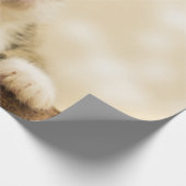 前足を伸ばした可愛い子猫 ラッピングペーパー (角)