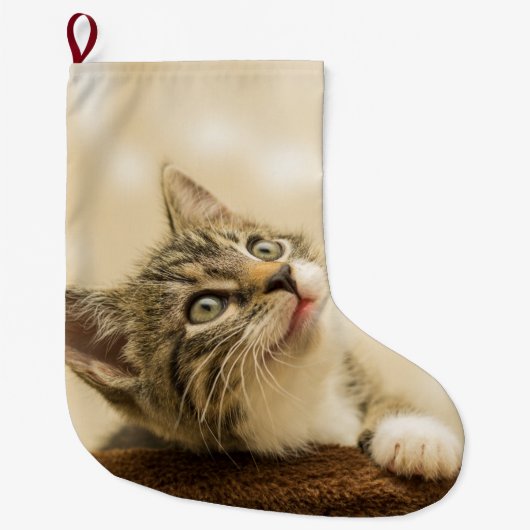 前足を伸ばした可愛い子猫 ラージクリスマスストッキング (正面)