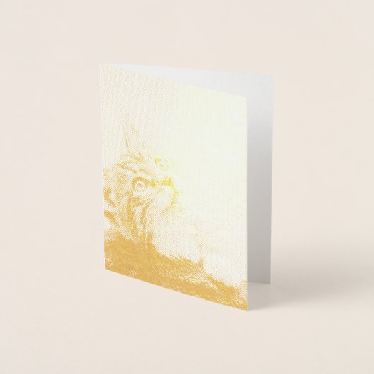 前足を伸ばした可愛い子猫 箔カード (正面)