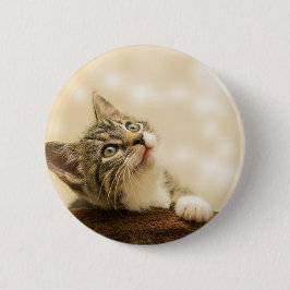 前足を伸ばした可愛い子猫 缶バッジ
