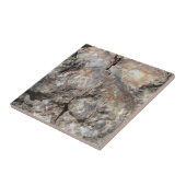 前部化石木 タイル (側面)