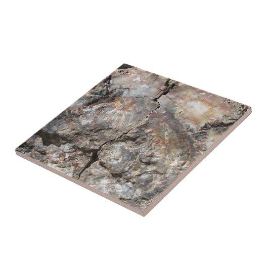 前部化石木 タイル (側面)