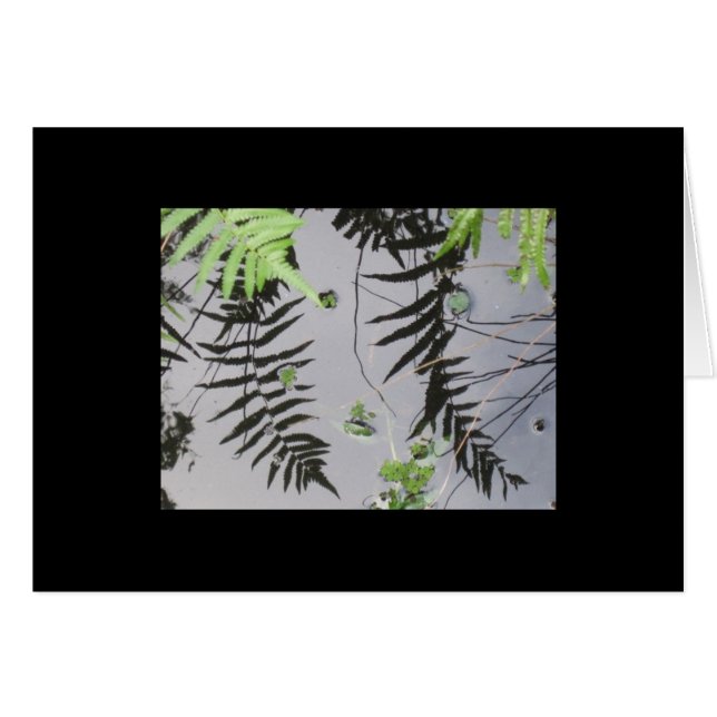 前部反射 (正面横)