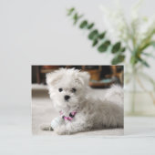 前部! ポストカード (スタンド正面)