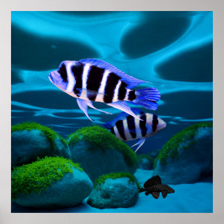前頭部魚眼鏡水族館 ポスター