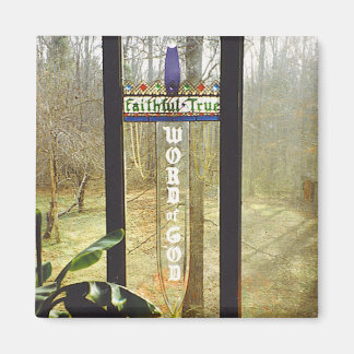 剣の磁石 マグネット