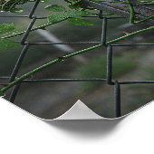 剣やる気を起こさせるとバラの柵 ポスター (角)