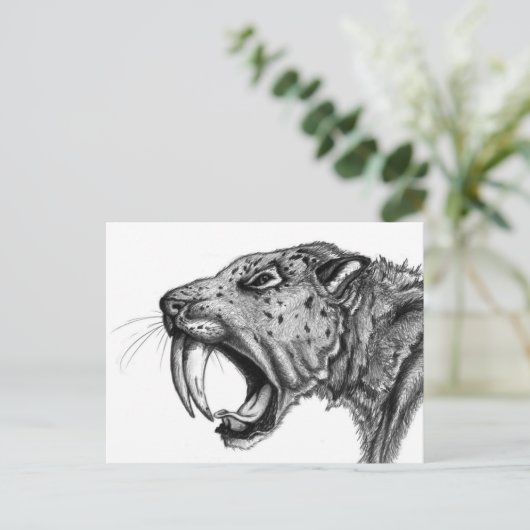 剣歯鉛筆 ポストカード (スタンド正面)