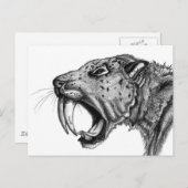 剣歯鉛筆 ポストカード (正面/裏面)