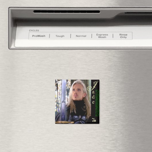 剣 – 磁石 (インサイチュ (食洗機))