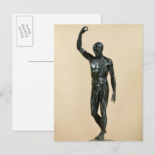 剥皮死体 ポストカード (正面/裏面)