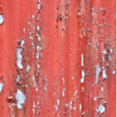 剥離絵を描 名刺