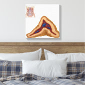 副腎の解剖学、横断面 キャンバスプリント (インサイチュ (寝室))