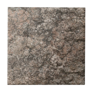 割れた乾燥した砂漠の1階の質の背景 タイル