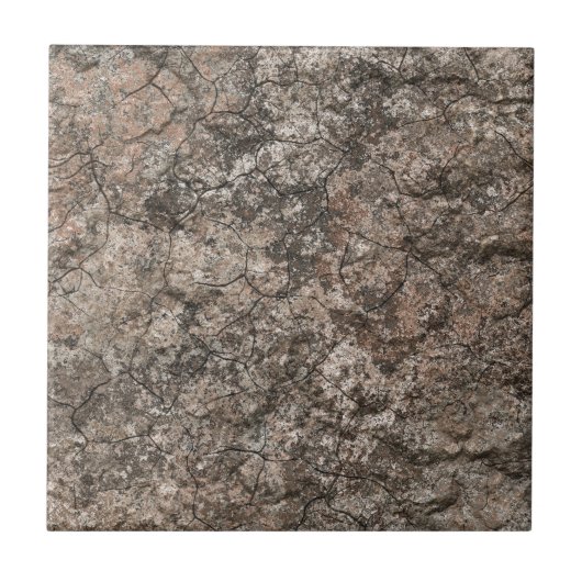 割れた乾燥した砂漠の1階の質の背景 タイル (正面)