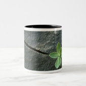 割れた大きい石で育つ植物 ツートーンマグカップ (中央)