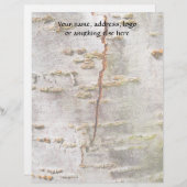 割れた樺の木吠え声 レターヘッド (正面/裏面)