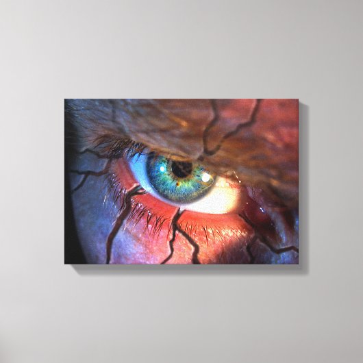 割れた目 キャンバスプリント (正面)