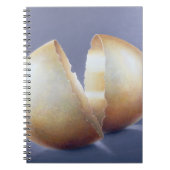 割れた青銅器時代の卵 ノートブック (正面)