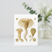 割れ目 ポストカード (スタンド正面)