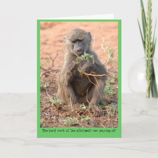 割当ての挨拶状 カード (正面)