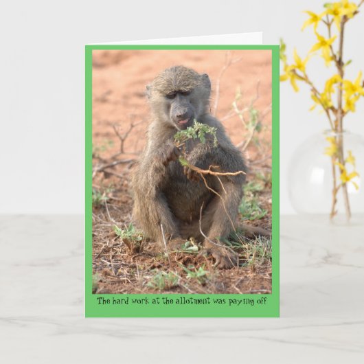 割当ての挨拶状 カード (黄色い花)