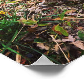 創世記第27章3節、収穫されたバックのポスター ポスター (角)