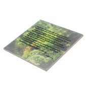 創世記1 9-13 ...乾燥した土地を出現させる タイル (側面)