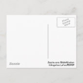 創世記21:22 ポストカード (裏面)