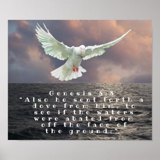 創世記8:8 ポスター (正面)