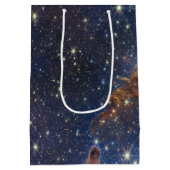 創造の柱　ジェームズ・ウェッブ　高解像度　2022 ミディアムペーパーバッグ (裏面)