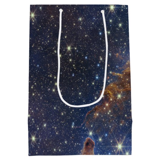 創造の柱 ジェームズ・ウェッブ 高解像度 2022 ミディアムペーパーバッグ (裏面)