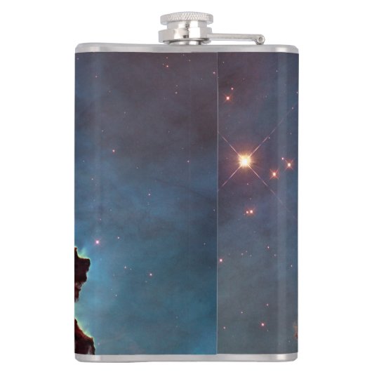 創造の柱 フラスク (裏面)