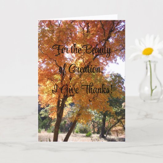 創造の美しいのため与えに感謝していはCard カード (小さな植物)