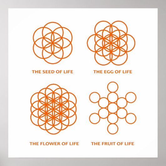 創造の過程 ポスター (正面)